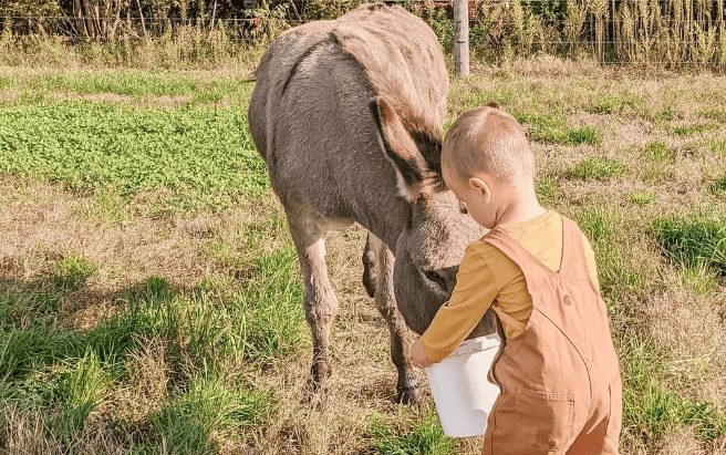 enas pitsirikos kai o gaidaros toy einai oi kalyteroi filoi1