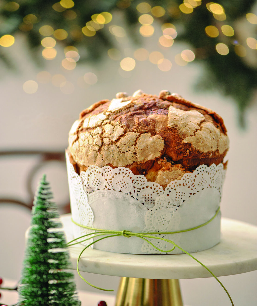 panettone e vima