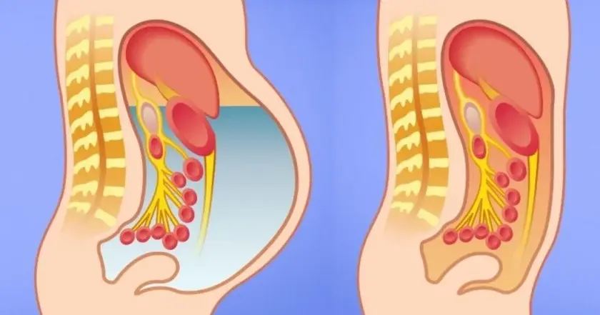 fysikoi lipodialutes trofes